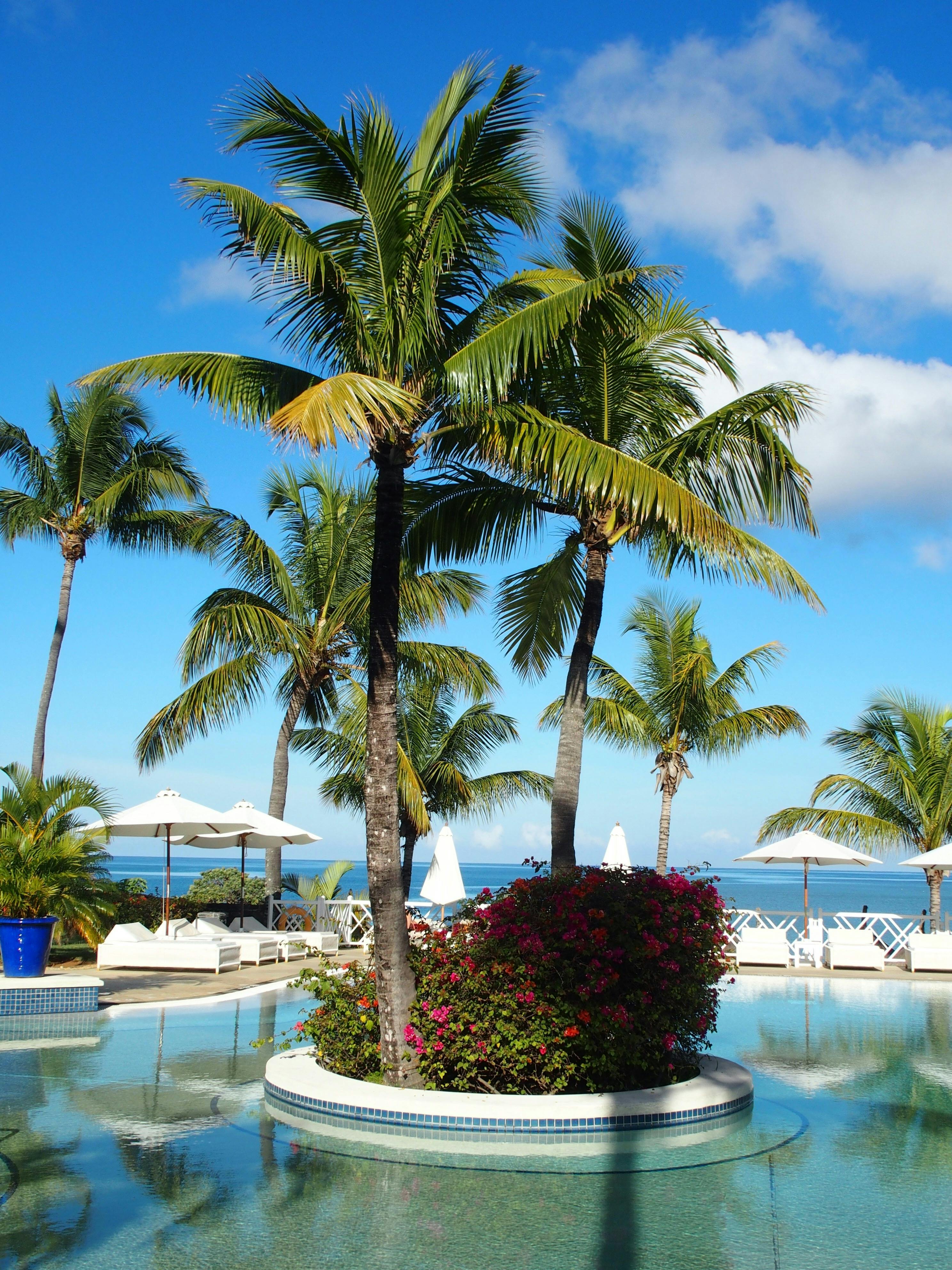 Hotel Garden
